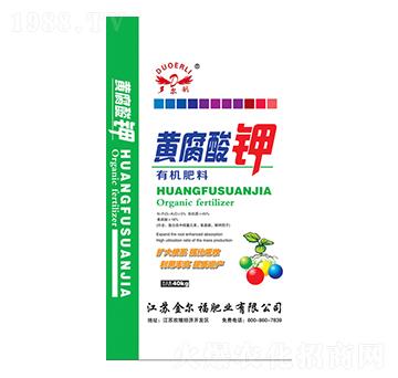 �S������ЙC(j��)����-�𠖸��ʘI(y��)