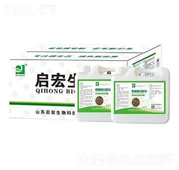 ���猚-��������