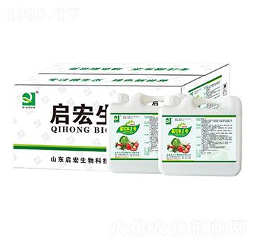 �����S1̖-��������