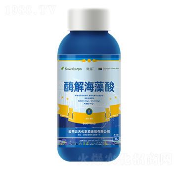 瓶裝微露-酶解海藻酸-云天化農(nóng)資