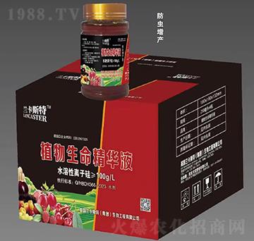 防蟲增產(chǎn)型-植物生命精華液-大化肥業(yè)