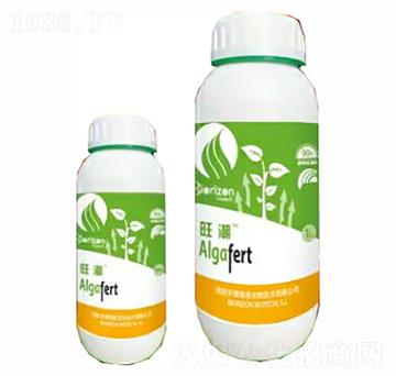 ����-�����m��