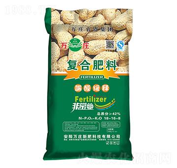 ȩጏ(f)Ϸ18-16-8-ǳ-ff