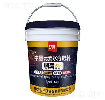 嘿蓋5補中量元素水溶肥料-佐田氏