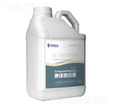 �ͺ�΢�������-�ͺϾ�-��������