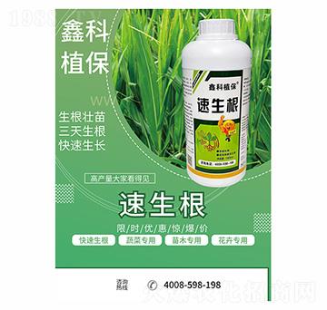 ������-�ο�ֲ��