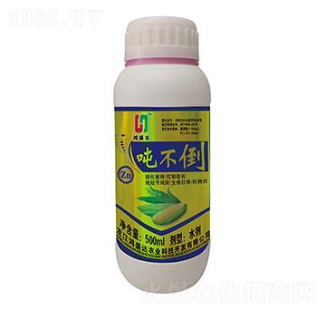 ������-��ʢ�_