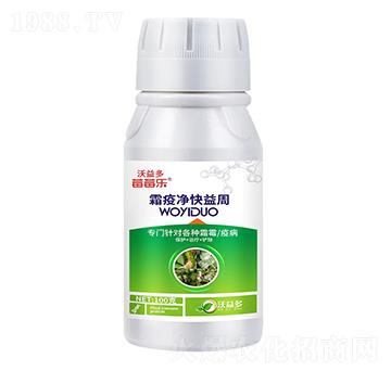 ˪�߃�������-ݮݮ��-�����