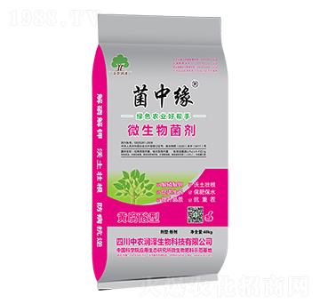 ���о�΢�������-���r(n��ng)��(r��n)��