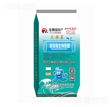 ����΢�������-�캣�{(l��n)-ס�̇�(gu��)�H