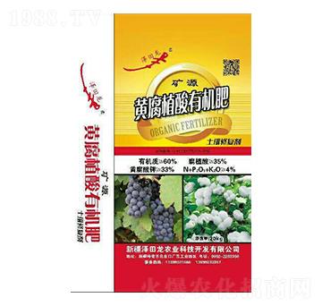 礦源黃腐植酸有機肥-澤田龍農(nóng)業(yè)