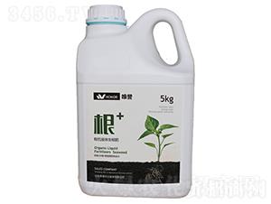 ��+�ЙCҺ�w������-Ψ�u