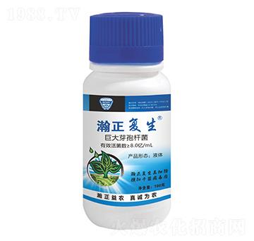 8.0億/mL巨大芽孢桿菌液體-瀚正復(fù)生-瀚正益農(nóng)