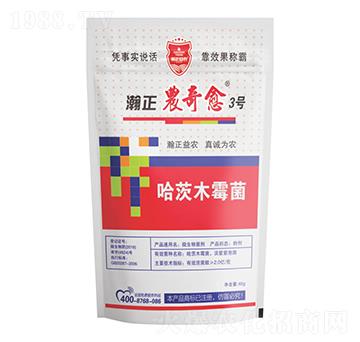 ľù-r(nng)3̖(ho)-r(nng)