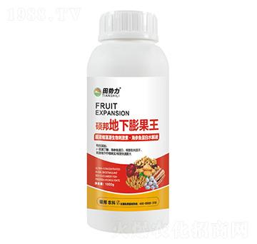 碩邦地下膨果王-田勢力-碩邦農(nóng)業(yè)