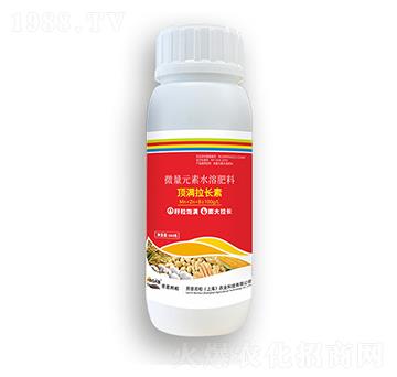 픝M���L(zh��ng)��-�ڶ����