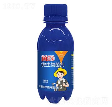 ΢�������-������-��������