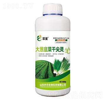 ���[�²˸ɼ��`-�䳲-���r(n��ng)����