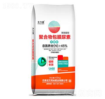 �ۺ����Ĥ����-�S����