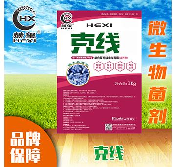 �˾�΢�������-�խt