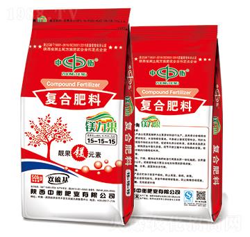 �V�����ͺϷ���15-15-15���p�����-�к�