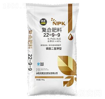 ���������͏�(f��)�Ϸ���22-9-9-�ְ�