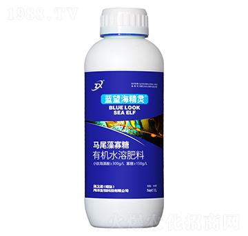 馬尾藻寡糖有機水溶肥料-藍(lán)望海精靈-藻之藍(lán)
