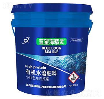 小肽魚蛋白原漿-藍(lán)望海精靈-藻之藍(lán)