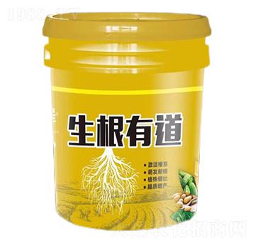 �����е�-�����S-��������