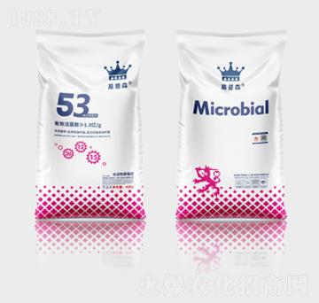 ����ɭ΢�������53��