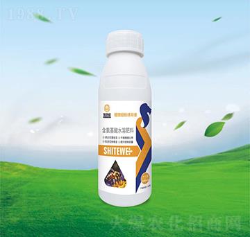 ֲ���ڷ��T����-ʩ����