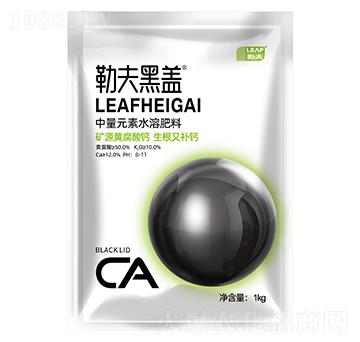 �VԴ�S�����}-�շ���w-�շ�