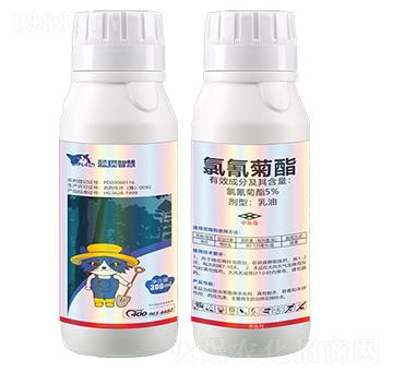 5%�����������-�{؈�ǻ�