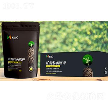 �VԴ���S���-���f��