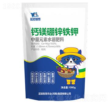 �}�V���F�\�-�{؈�ǻ�