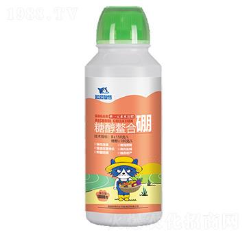 �Ǵ�������-�{؈�ǻ�