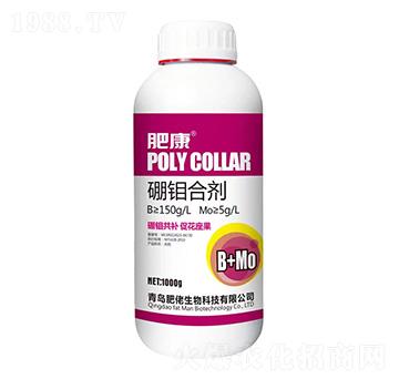 ���f�τ�-�ʿ�-��������