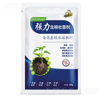 �����������焩-��˹��