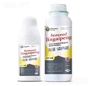 ���塤���}��-�۶�����