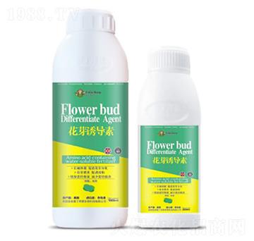 ��ѿ�T��(d��o)��-�۶�����