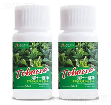 ���~һ���-�۶�����