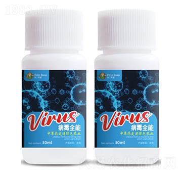 ����ȫ��-�۶�����