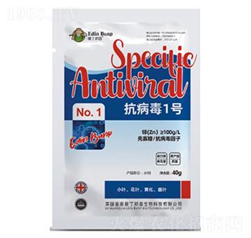 ������1̖-�۶�����