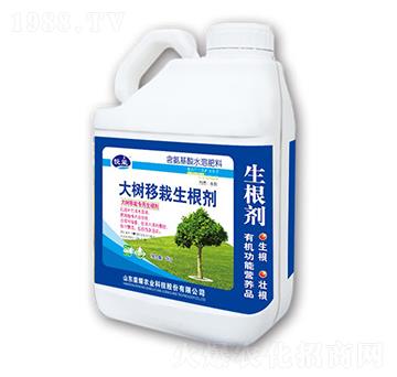 ���(sh��)����������-����-�sҫ�r(n��ng)�I(y��)