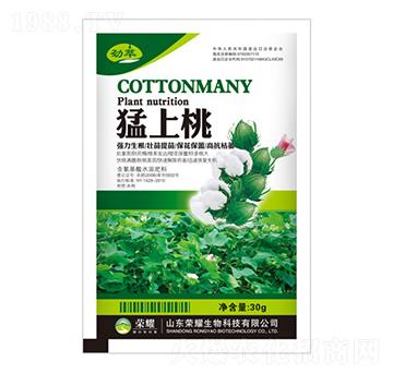 ������-����-�sҫ�r(n��ng)�I(y��)