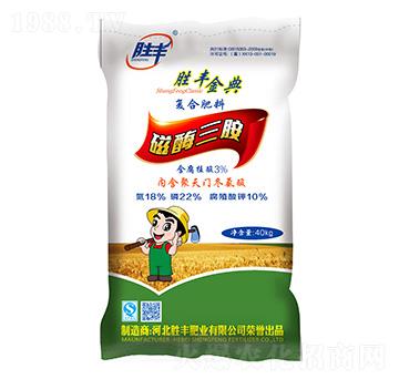 ��ø���@�ͺϷ���18-