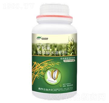 ǧ����-��ֲ��ˮ�ܷ���