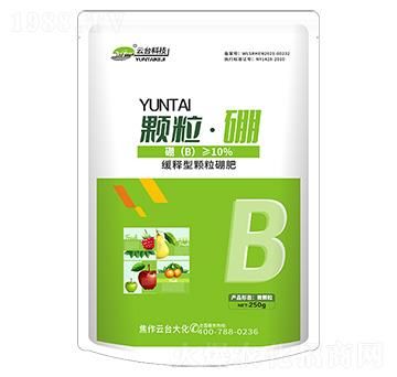 �w������-���_��