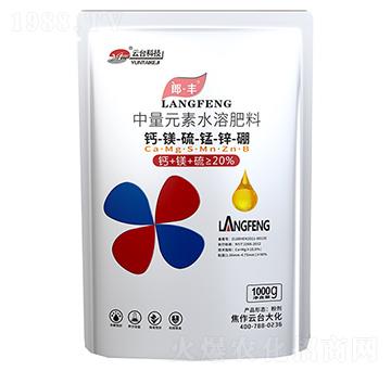 �}�V���i�\��-�ɡ��S-���_��