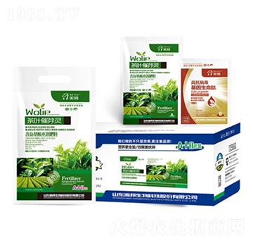 ���~��ѿ�`-嫰�����